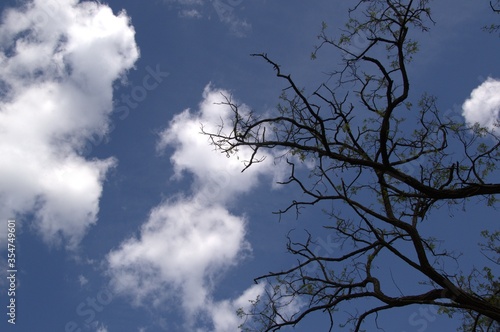 nature_059