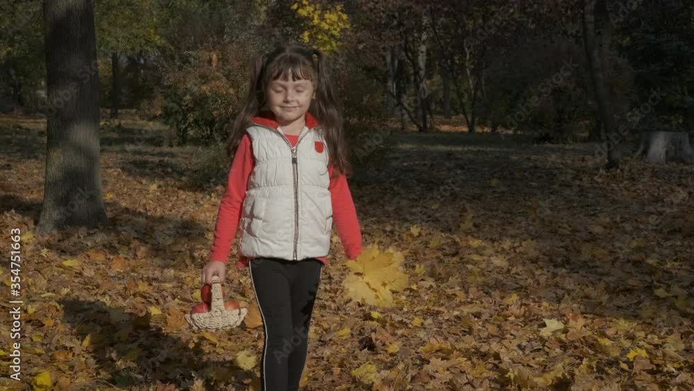 Walk with autumn basket. Happy little girl with a basket of apples lies in yellow autumn leaves. Walk with autumn basket. Happy little girl with a basket of apples lies in yellow autumn leaves.