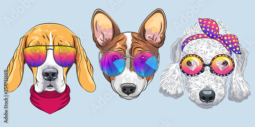 Set of hipster dogs in trendy multicolored mirror sunglasses and bow ties, Beagle, Basenji and Bedlington Terrier breed