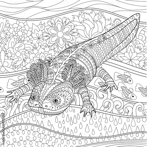 Coloring page for adults with axolotl and complex background in zentangle style 