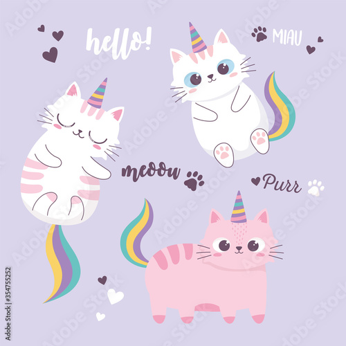 cute cats rainbow and horns adorable cartoon animal funny character