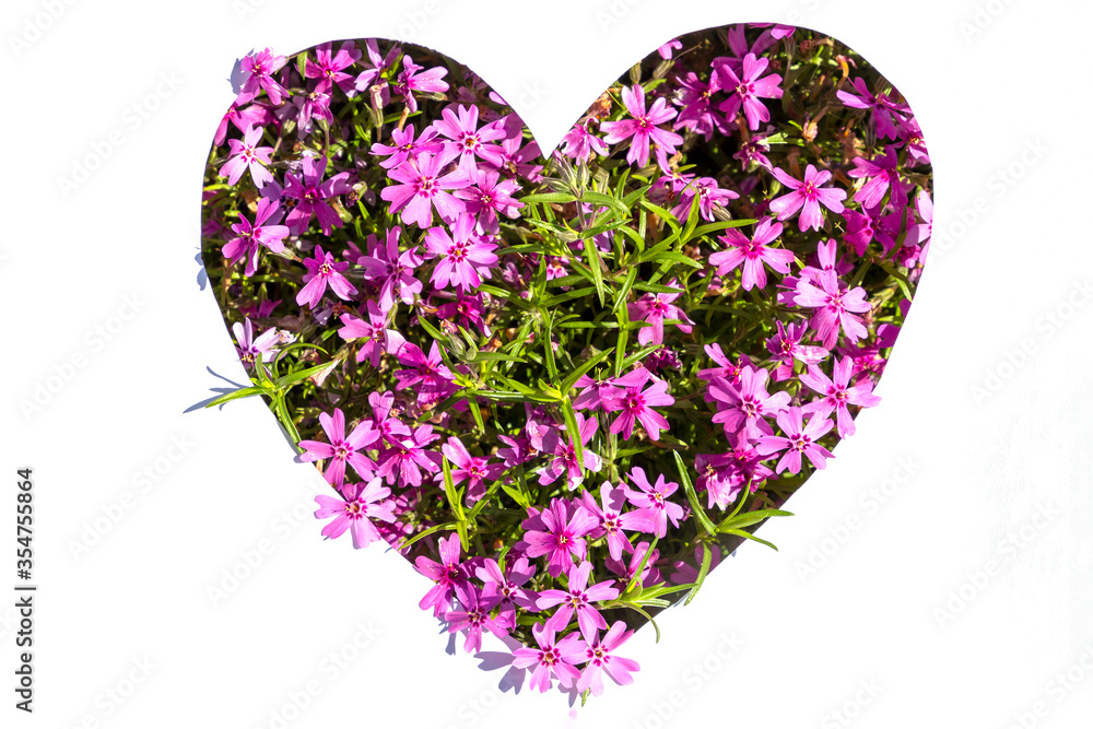 Creative natural  floral heart shaped layout made of flowers. Flat lay. Nature concept.