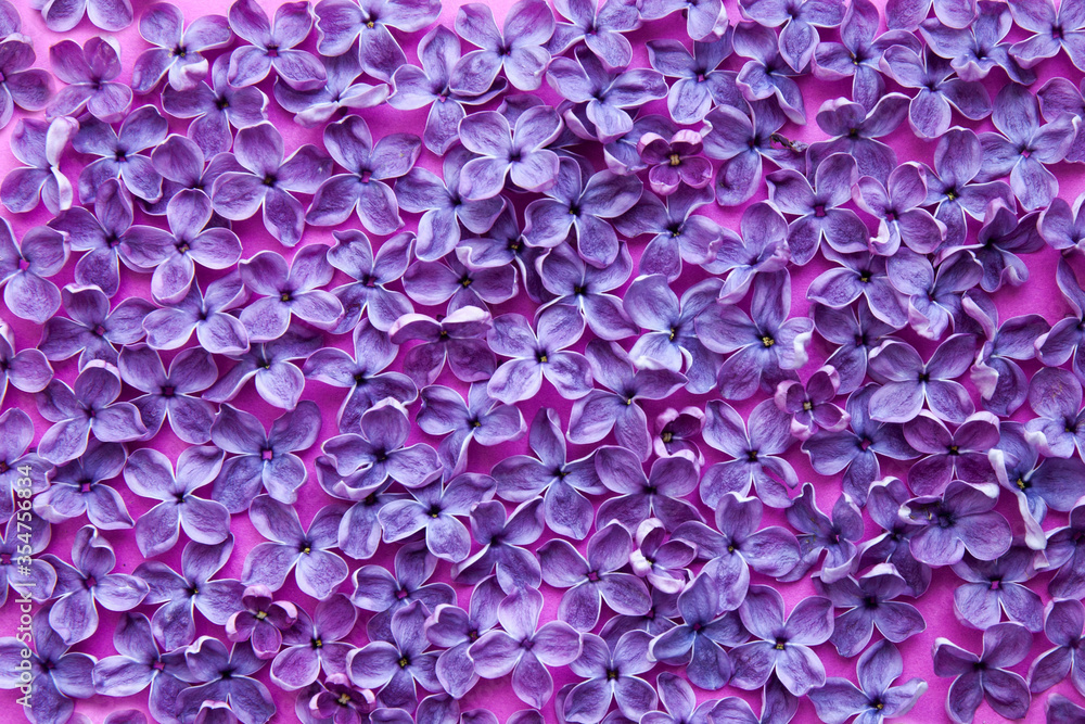 Background of lilac flowers, top view