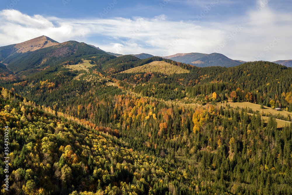 Aerial view of autumn mountain landscape with evergreen pine trees and yellow fall forest with magestic mountains in distance.