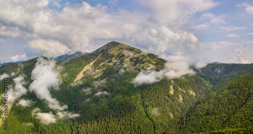 Aerial view of green Carpathian mountains covered with evergreen spruce pine foreston summer sunny day. photo