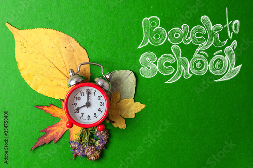 Back to school concept. Alarm clock with autumn dry leaves. photo