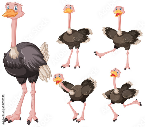 Set of cute ostrich cartoon character