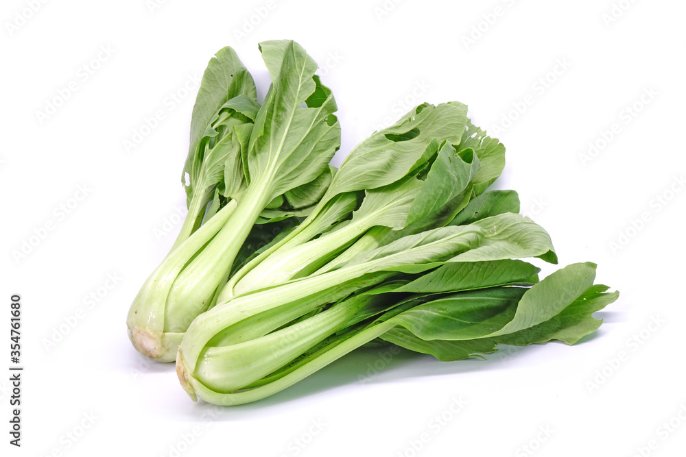 Bok choy isolated on white background. Chinese cabbage (Bok choy, Pak choi or Pok choi) fresh green leaves vegetable from Organic vegetable farm Bok choy isolated on white background. Chinese cabbage (Bok choy, Pak choi or Pok choi) fresh green leaves vegetable from Organic vegetable farm
