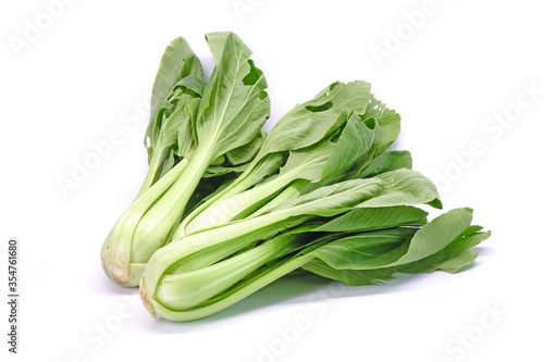 Bok choy isolated on white background.   Chinese cabbage (Bok choy, Pak choi or Pok choi) fresh green leaves vegetable from Organic vegetable farm