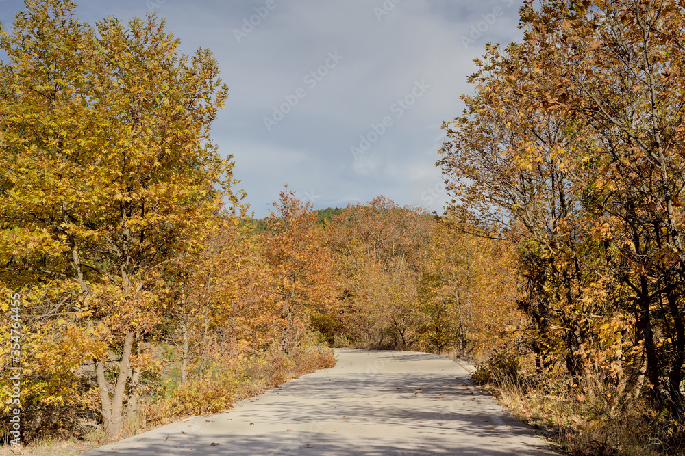 Fototapeta premium Road in the mountains