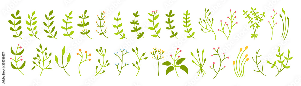 Branch and leaf botanical green set. Abstract different beautiful floral design elements. Colorful flat floral cartoon eco collection. Beautiful isolated greens sprout. Vector illustration Branch and leaf botanical green set. Abstract different beautiful floral design elements. Colorful flat floral cartoon eco collection. Beautiful isolated greens sprout. Vector illustration
