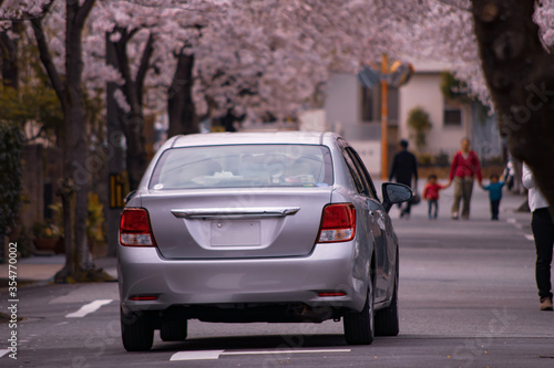 桜並木の住宅街を走行するシルバーの自動車