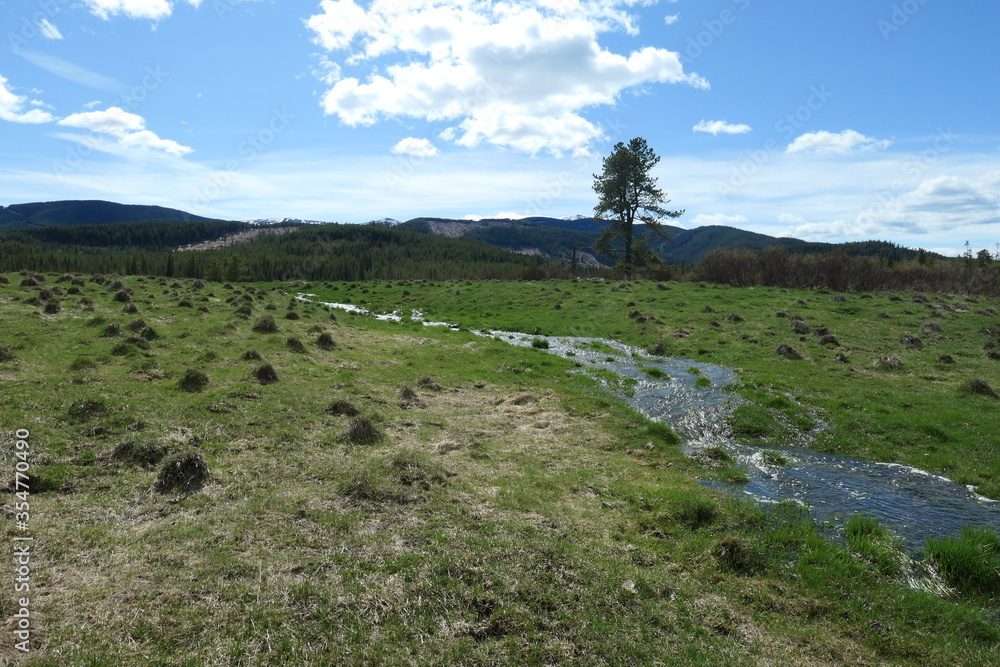 A creek in a meadow in the Canadian Rocky Mountains on a bright day in the springtime, with grass, trees, and hills