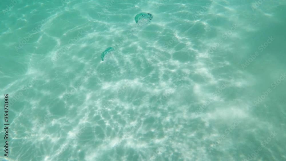 Air bubbles and caustics view underwater in Lake Salda Yesiolva Burdur Turkey. Air bubbles and caustics view underwater in Lake Salda Yesiolva Burdur Turkey.