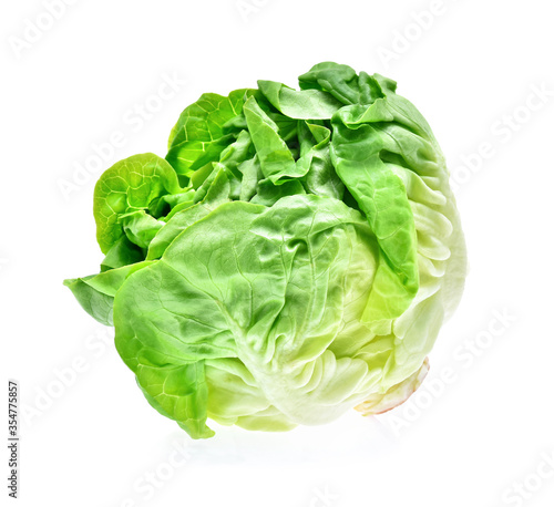Butterhead lettuce isolated on white background