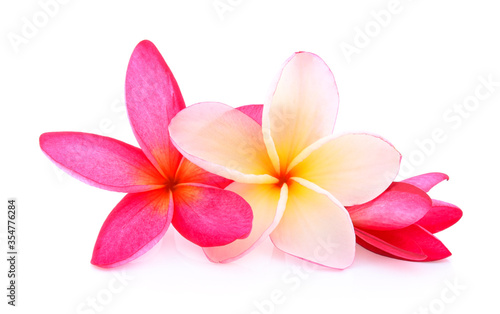 Fototapeta Naklejka Na Ścianę i Meble -  Tropical flowers frangipani (plumeria) isolated on white background