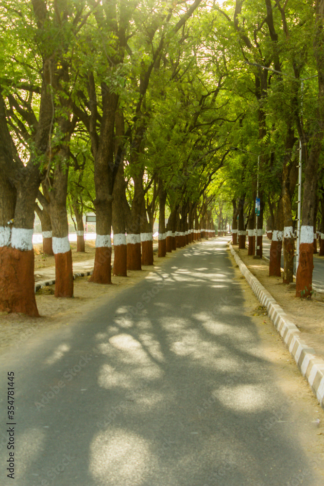 Obraz premium A Boulevard on a Gandhinagar road