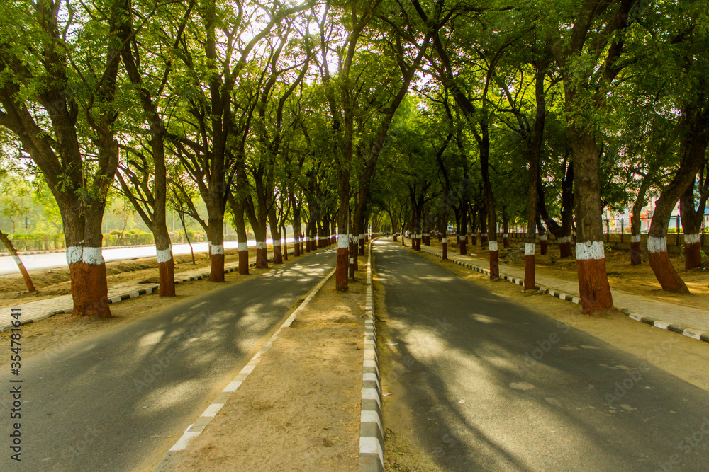 A Boulevard on a Gandhinagar road