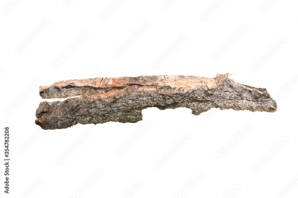 tree bark isolated on white background tree bark isolated on white background