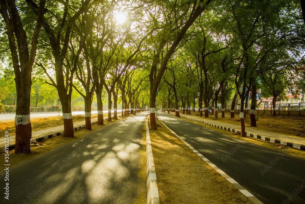 Fototapeta premium A Boulevard on a Gandhinagar road