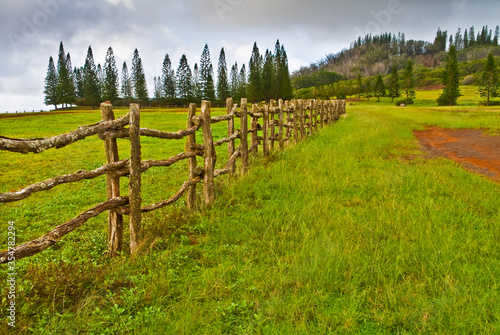 Wooden Rail Fence Crossing Ranch Land Leading to Hoopapalani Hill, Lanai City, Hawaii, USA