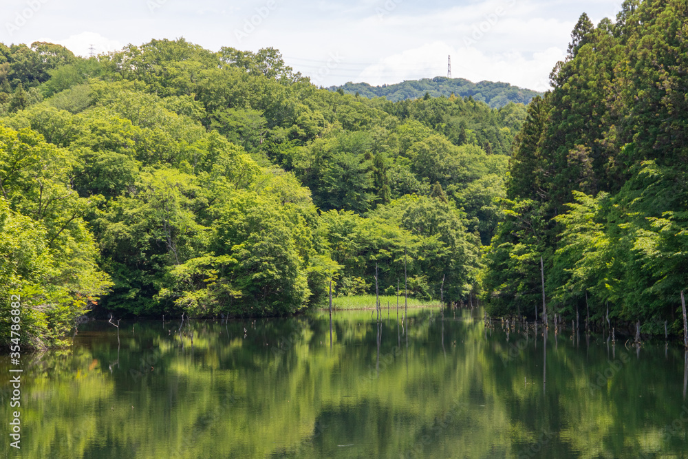 新緑美しいあいち海上の森で神秘的なリフレクションが映える池