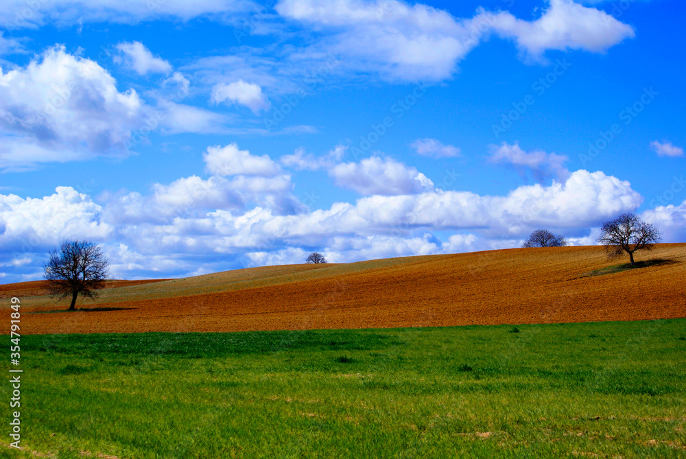Landscape of green grass with brown land and beautiful clouds