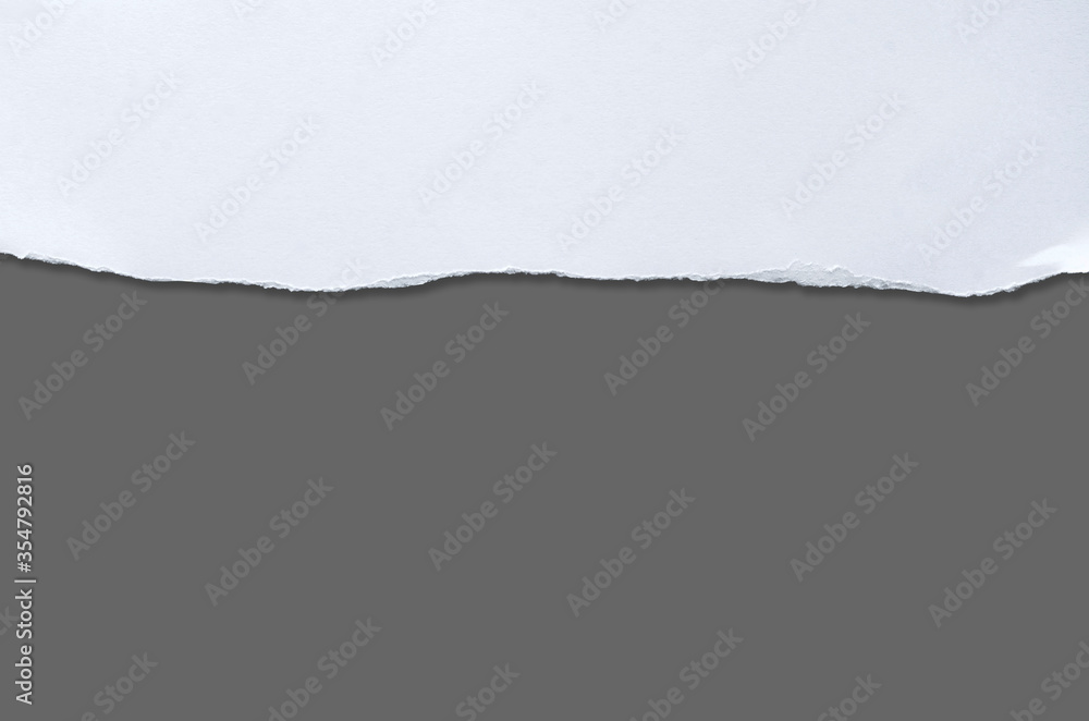 White ripped note paper, paper different shapes scraps isolated on gray background. with clipping path.