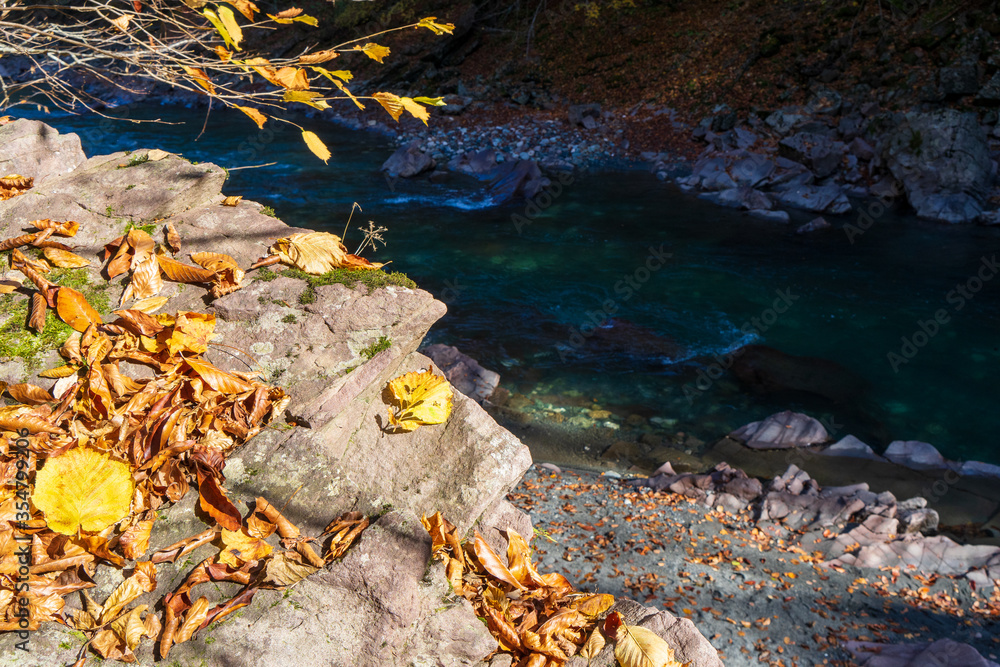 Yellow autumn leaves. Clean mountain river in the autumn forest.