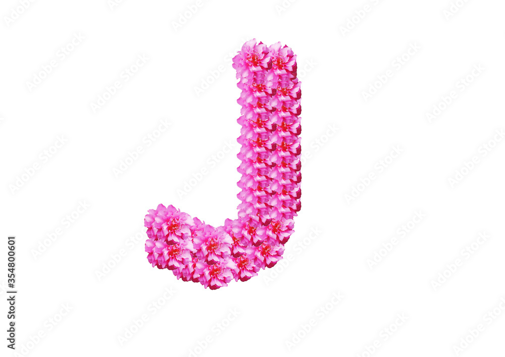 The letter is made of pink flowers on a white background. Spring concept Floral letters of the alphabet for wedding design or flower festival The letter is made of pink flowers on a white background. Spring concept Floral letters of the alphabet for wedding design or flower festival