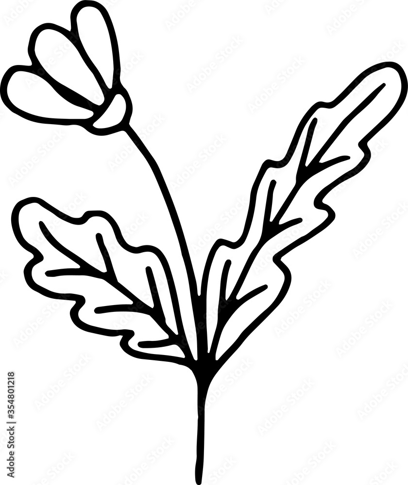 Hand drawn vector illustration of decorative flowers. Black outlines isolated on white background. Doodle style. Image for coloring book design, seasonal cards decoration and printed materials.