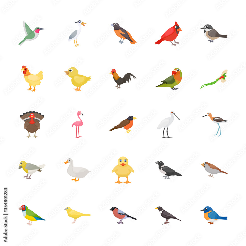 Pet Birds Flat Vectors Pack Pet Birds Flat Vectors Pack
