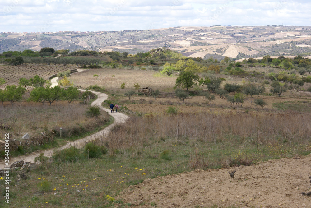 Dirt Empty road zig zag field on the countryside of north of Spain Dirt Empty road zig zag field on the countryside of north of Spain