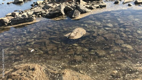 Cigarette butts and dirty foam float on the water.