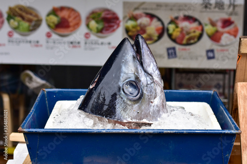 Φωτογραφία Giant Tuna Head on a Bed of Ice in Tsukiji Market, Tokyo