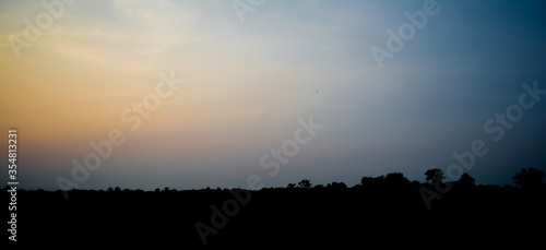 Rural landscape with a field of wheat and sunrise with a cloudy sky background. Landscape.  