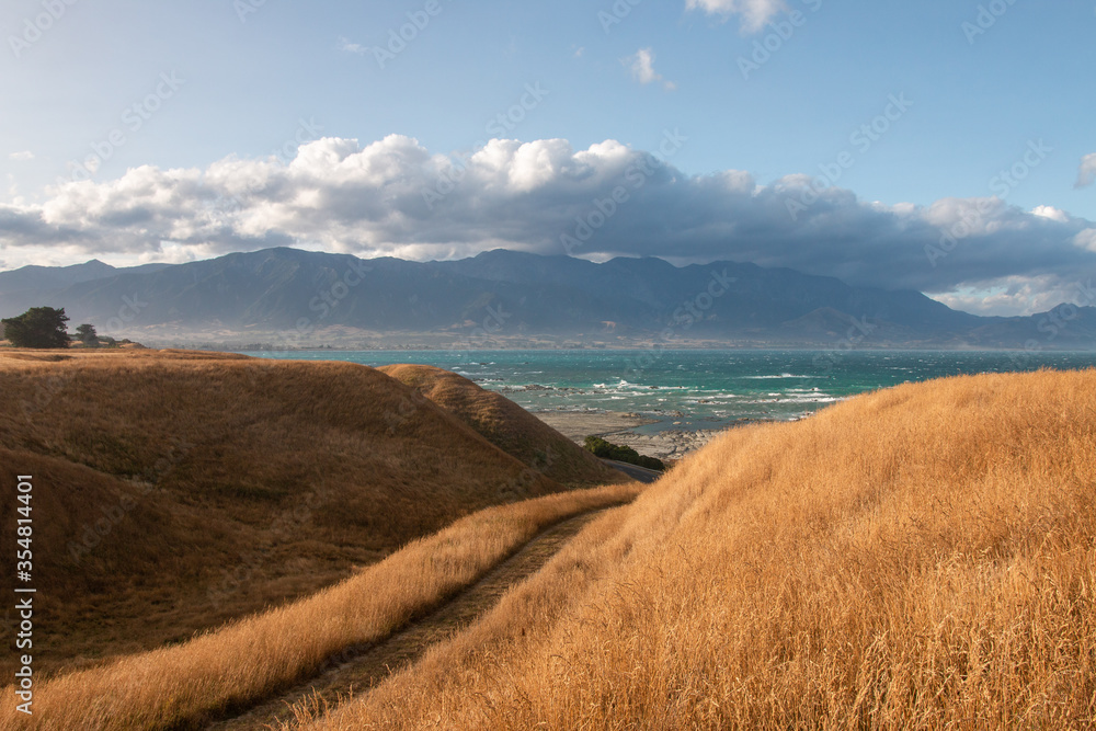 Fototapeta premium Rural road in Kaikoura, Canterbury, New Zealand