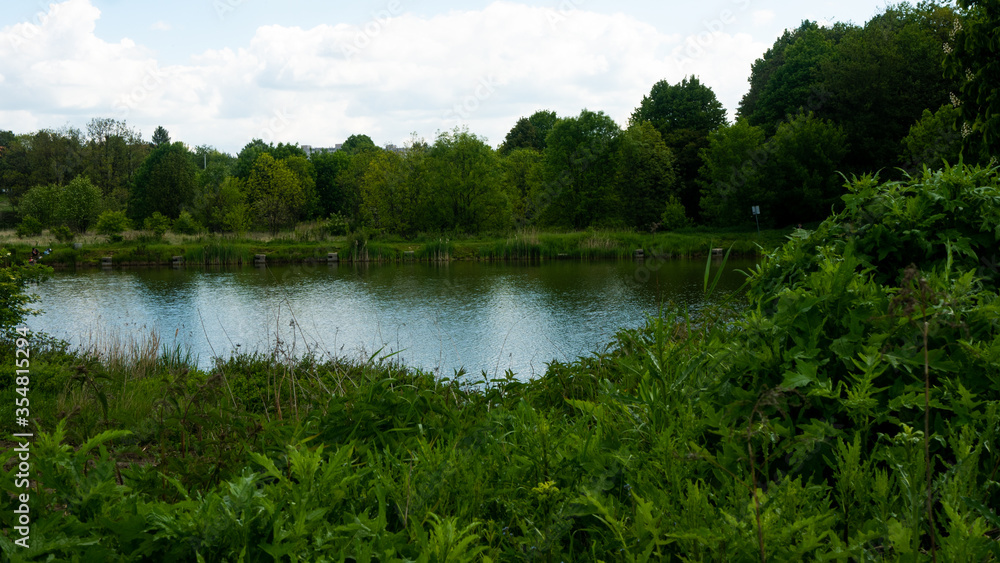 
Lake view, ready space for entry.