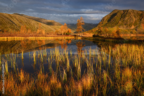 Golden autumn in the tundra, lake Jack London, Kolyma, Magadan region, Russian far East