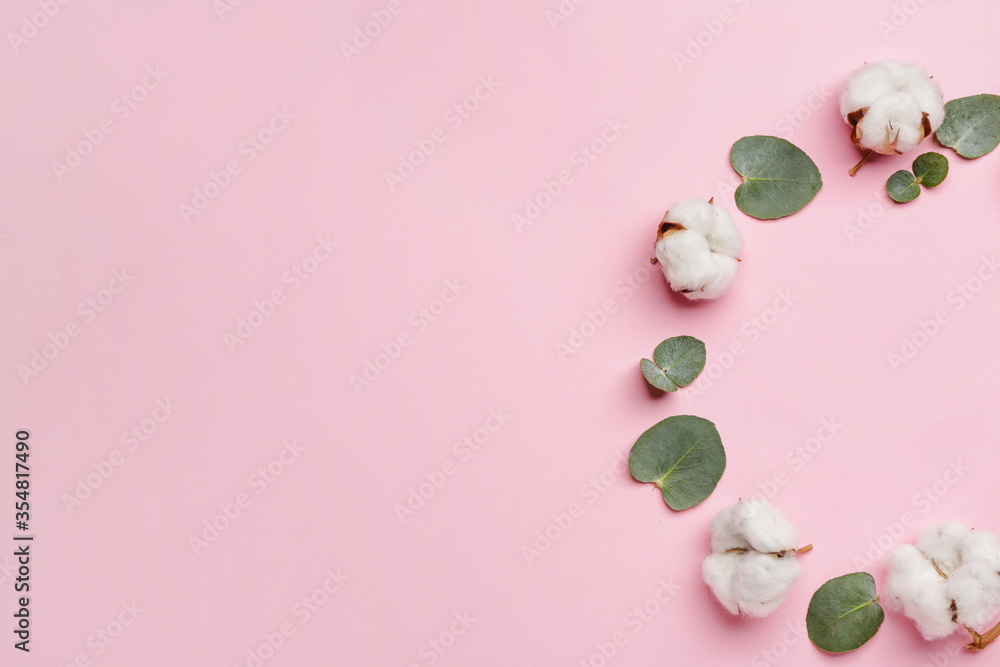 Composition with beautiful cotton flowers and eucalyptus leaves on color background Composition with beautiful cotton flowers and eucalyptus leaves on color background