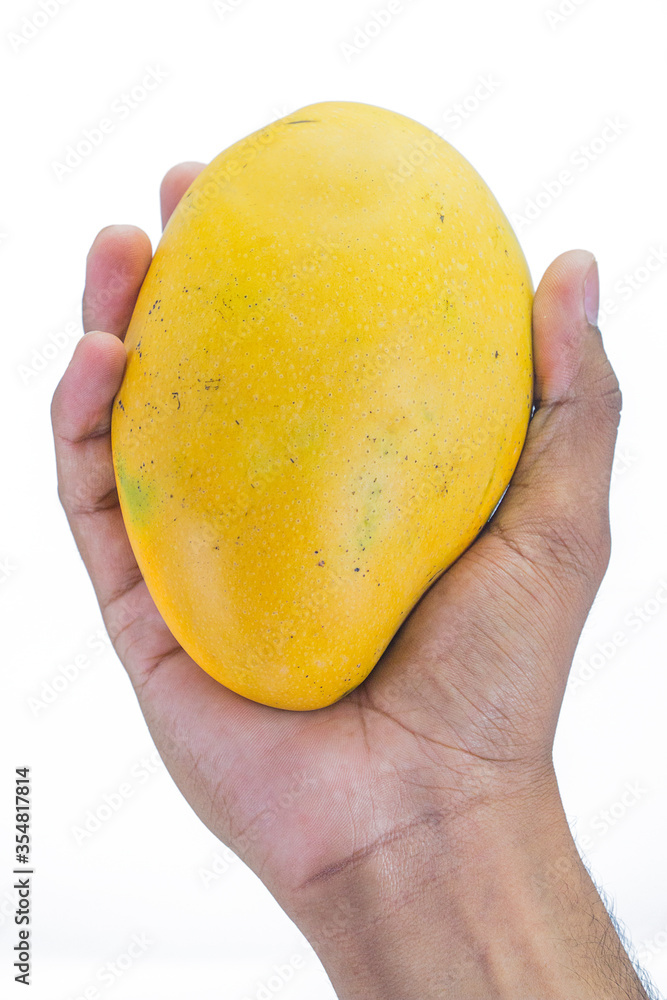 close of fresh mango on white background close of fresh mango on white background