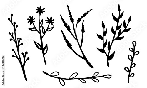 Hand drawn vector illustration of wildflowers. Collection of doodle floral elements. Spring and summer symbol. Contour otline drawing of simple black twig