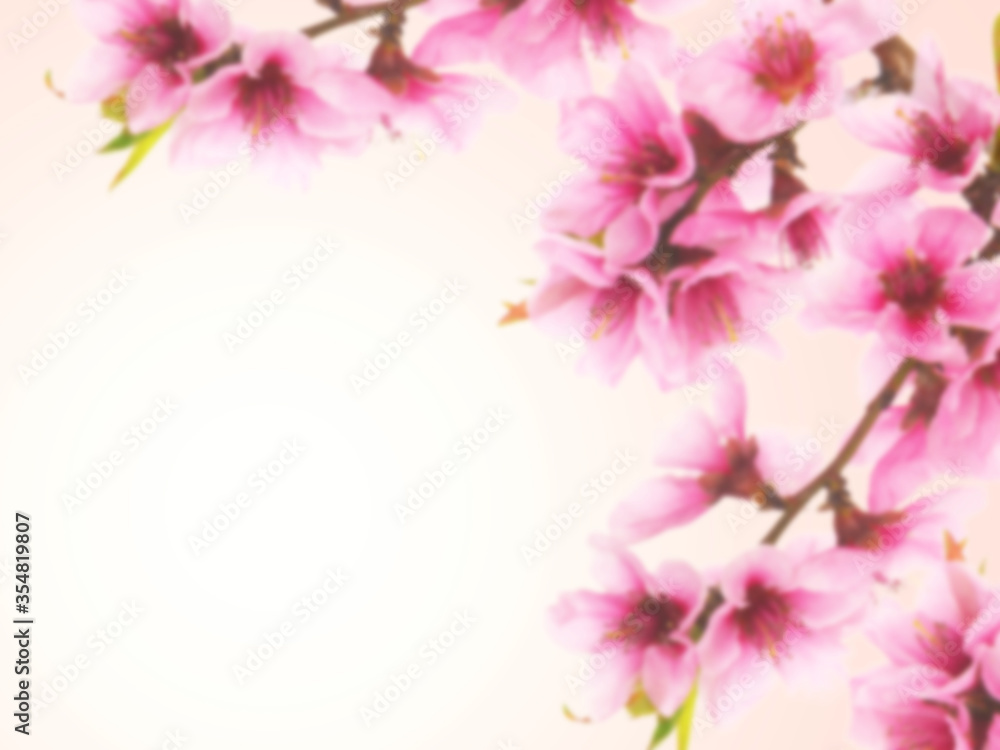 Fototapeta premium Blurred pink spring blossom background