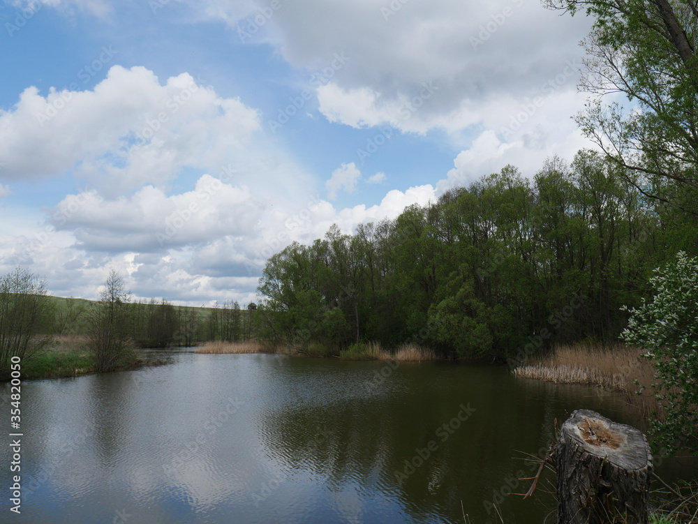 river in the forest and white clouds