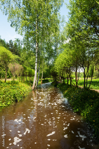 View of the forest river. A landscape with a river and forest trees on a Sunny summer day.