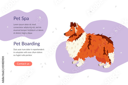 Pet Spa and Pet Boarding landing page template. Collie dog breed. Flat vector illustration. Pet care banner for grooming salon and shops. Animal guide, business card, flyer, social network