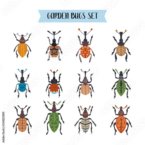 Set of beetles isolated on white background