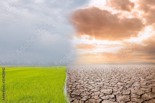 Land with dry and cracked ground and green field .Desert,Global warming background