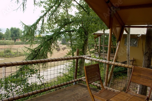 View from luxury tent in the treetops in the African style to exposition of giraffe and gnus. Safari Park Dv  r Kr  lov    Dv  r Kr  lov   Zoo   Czech Republic  Europe.