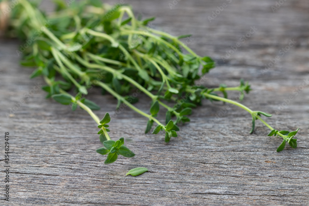 fresh thyme branch on wooden background fresh thyme branch on wooden background